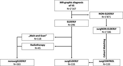 Association of extent of resection on recurrence-free survival and functional outcome in vestibular schwannoma of the elderly